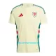 Maillot De Foot Pays de Galles Extérieur 2024