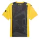 Maillot De Foot Borussia Dortmund Anniversaire 23/24