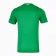 Maillot De Foot Irlande Domicile 24/25