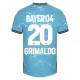 Maillot De Foot Bayer 04 Leverkusen Alejandro Grimaldo 20 Third 23/24