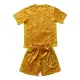 Kit De Football Gardien Pays-Bas Enfant Euro 2024 Jaune