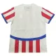 Maillot De Foot Paraguay Domicile 2024