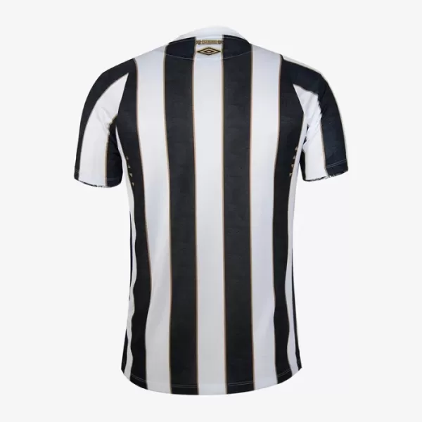 Maillot De Foot Santos FC Extérieur 24/25