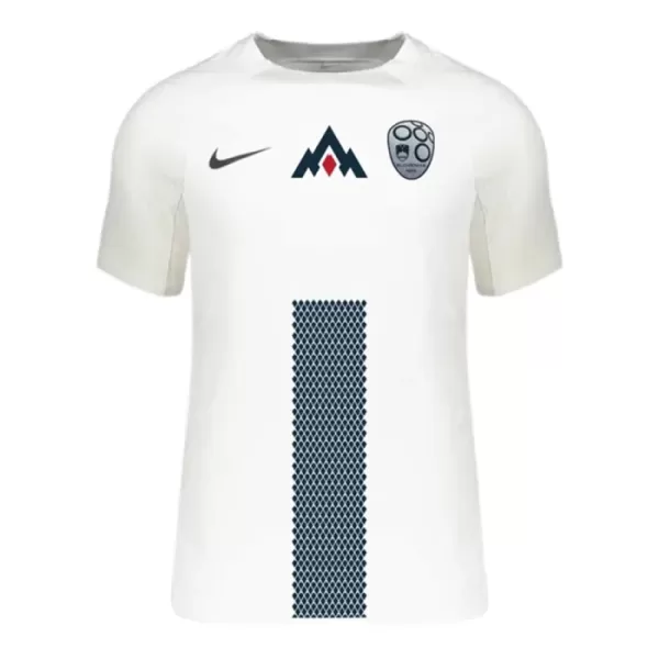 Maillot De Foot Slovénie Domicile Euro 2024