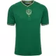 Maillot De Foot AS Saint-Étienne Anniversaire 23/24