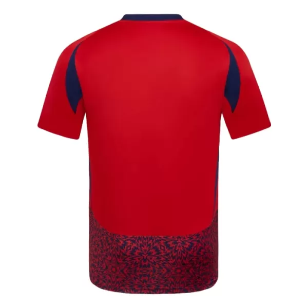 Maillot De Foot Costa Rica Domicile 2024