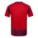 Maillot De Foot Costa Rica Domicile 2024