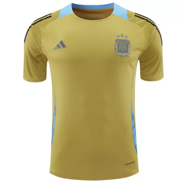 Maillot De Foot Argentine Pre-Match 2024 Jaune