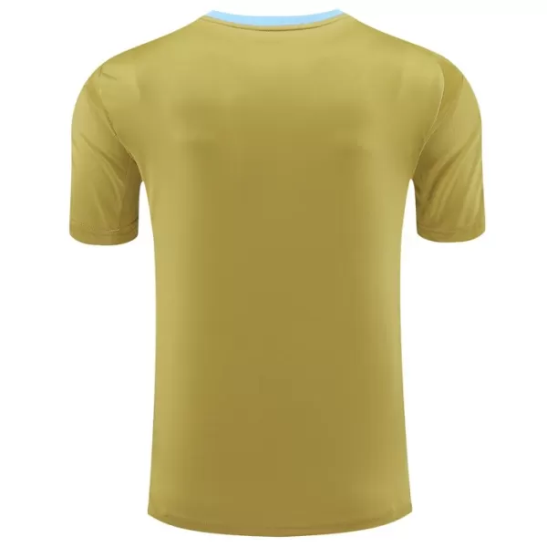 Maillot De Foot Argentine Pre-Match 2024 Jaune