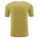 Maillot De Foot Argentine Pre-Match 2024 Jaune