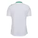 Maillot De Foot AS Saint-Étienne Extérieur 24/25