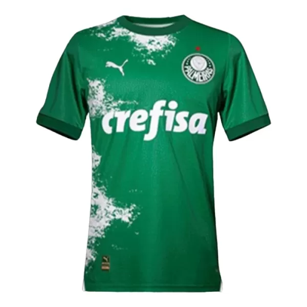 Maillot De Foot Palmeiras 2024 Vert - Spécial