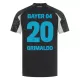 Maillot De Foot Bayer 04 Leverkusen Alejandro Grimaldo 20 Third 24/25