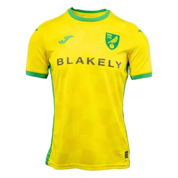 Maillot De Foot Norwich City Domicile 24/25