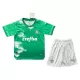 Kit De Football Palmeiras Enfant 2024 Vert - Spécial