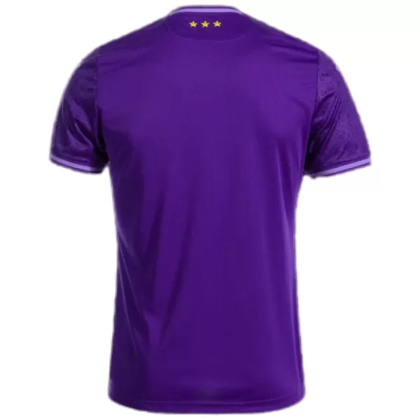 Maillot De Foot RSC Anderlecht Domicile 24/25