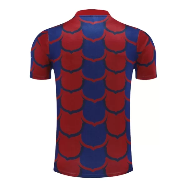 Maillot De Foot FC Barcelone Pre-Match 24/25