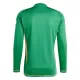 Maillot De Foot Gardien Aston Villa 24/25 Manches Longues Vert