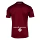 Maillot De Foot Torino Domicile 24/25