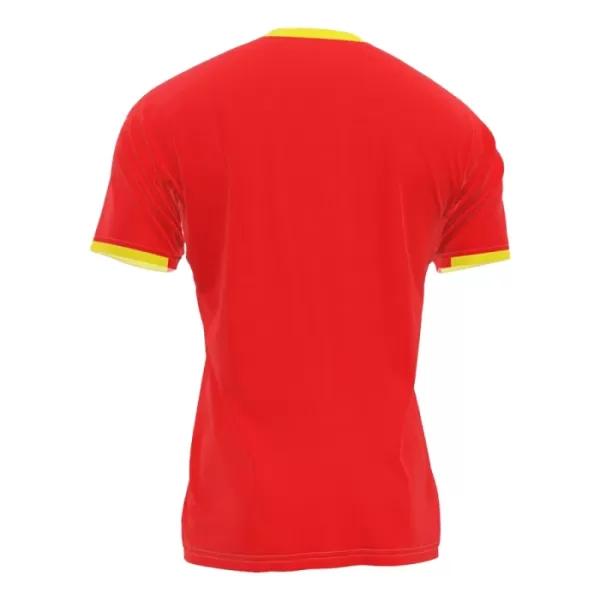 Maillot De Foot Guinea Domicile 2024