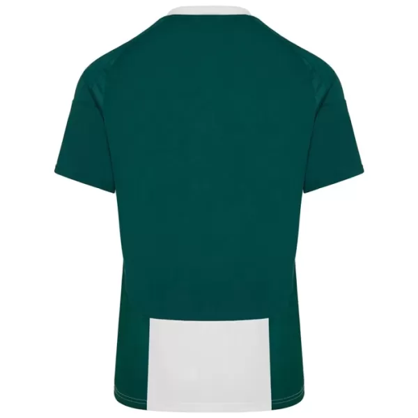 Maillot De Foot Panathinaikos FC Domicile 24/25