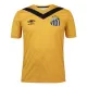 Maillot De Foot Santos FC Third 24/25