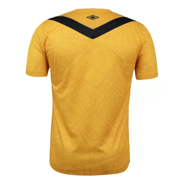 Maillot De Foot Santos FC Third 24/25