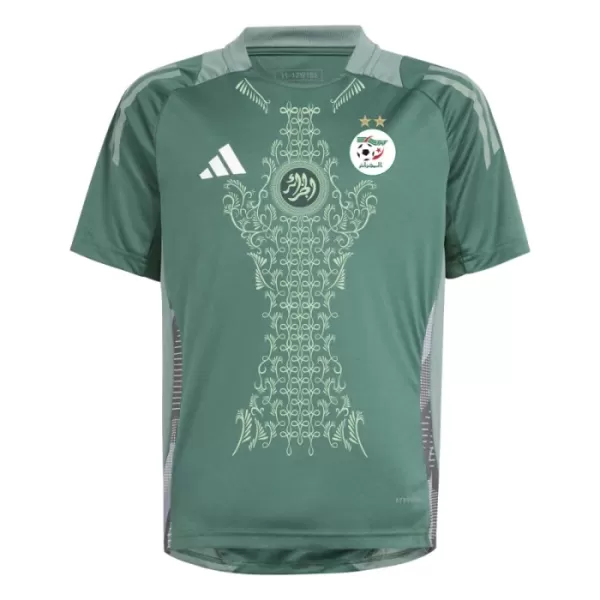 Maillot De Foot Nigéria 2024 Vert - Spécial